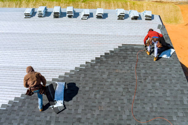 Best Flat Roof Repair Services  in Cotter, AR