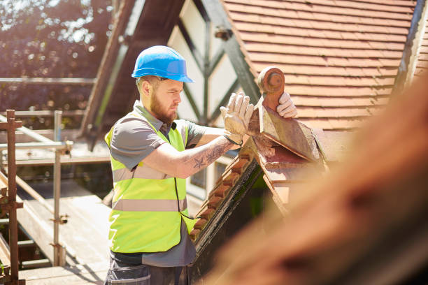 Best Local Roofing Companies  in Cotter, AR